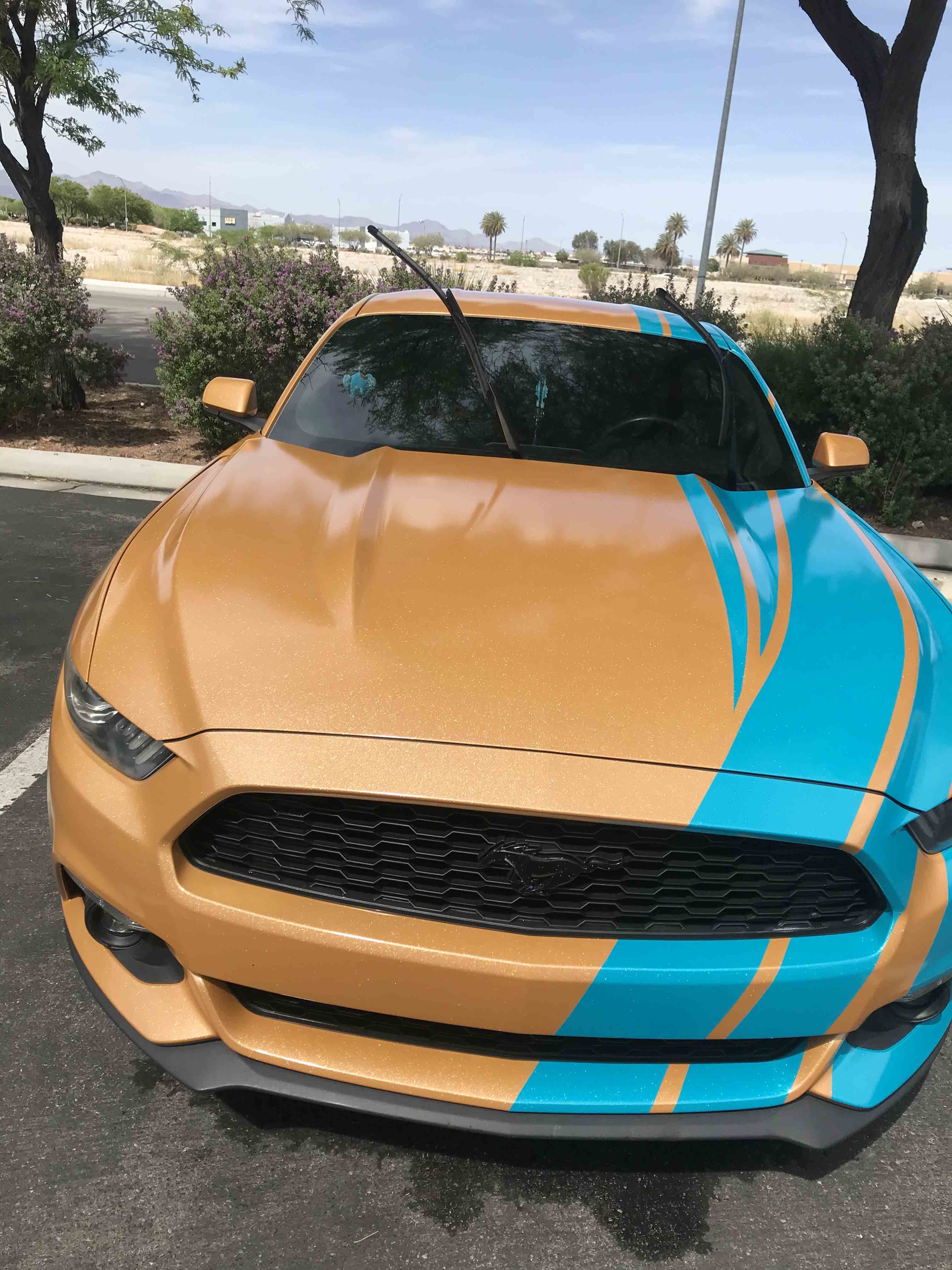 Cars gallery photo